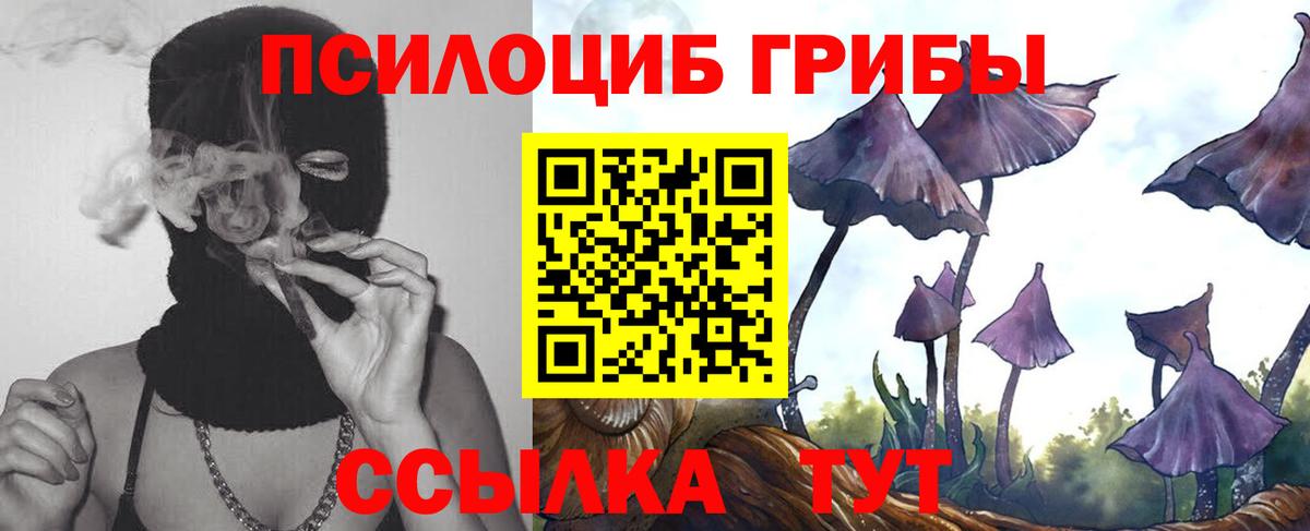 Псилоцибиновые грибы Magic Shrooms Коркино